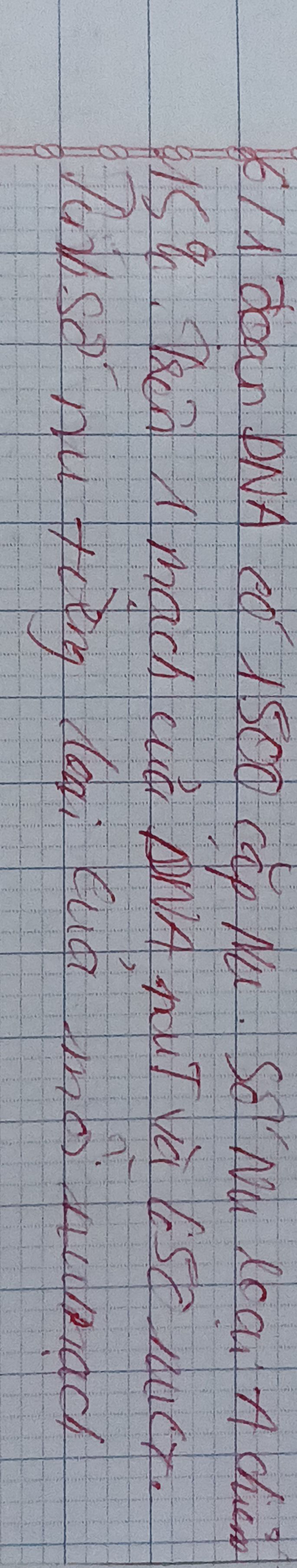 img-question-file