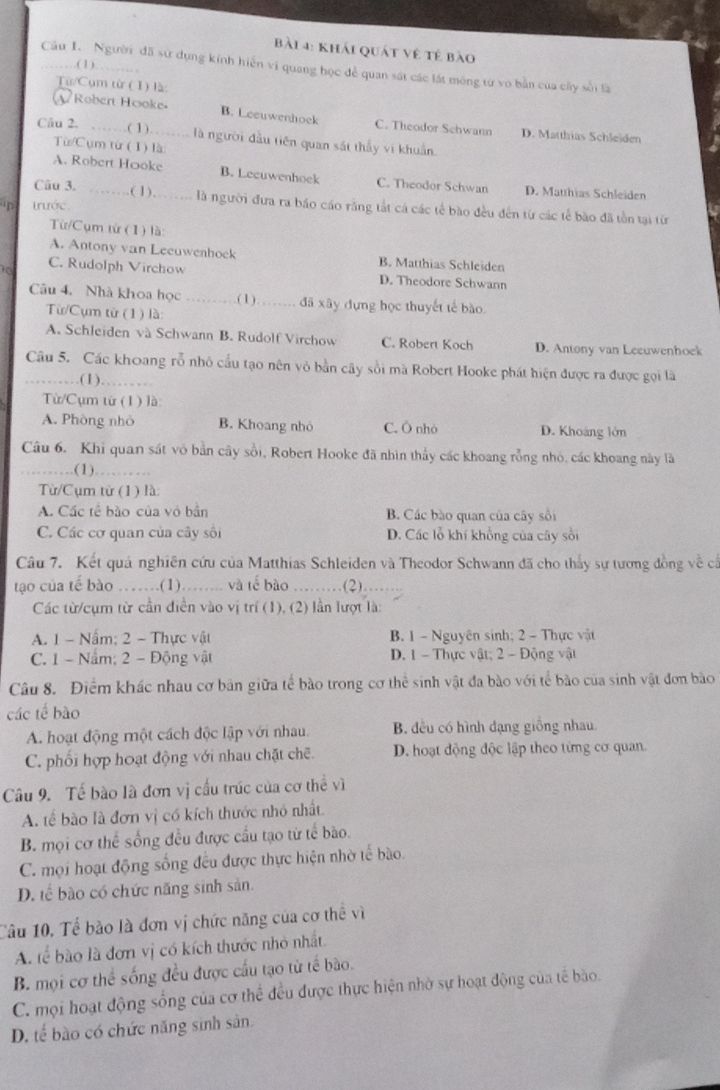 img-question-file