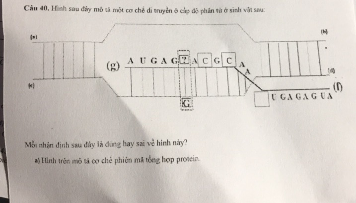 img-question-file