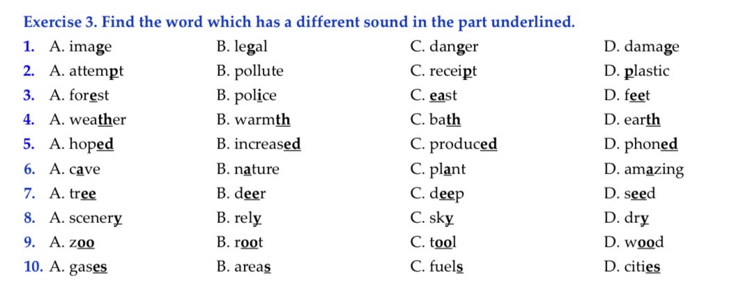 img-question-file