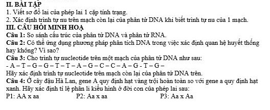 img-question-file