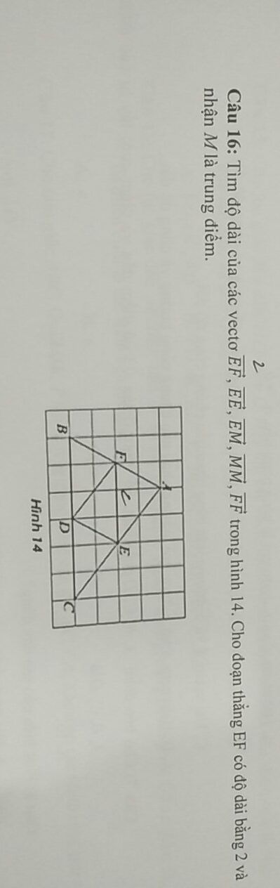 img-question-file