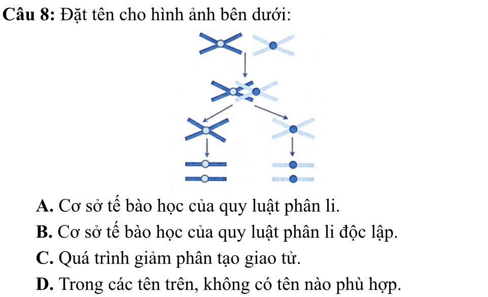 img-question-file