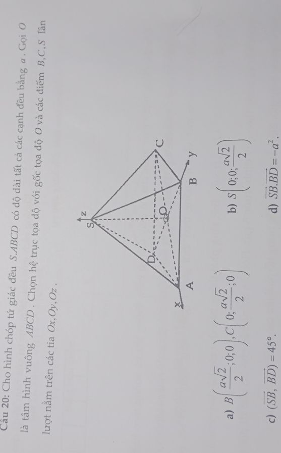 img-question-file