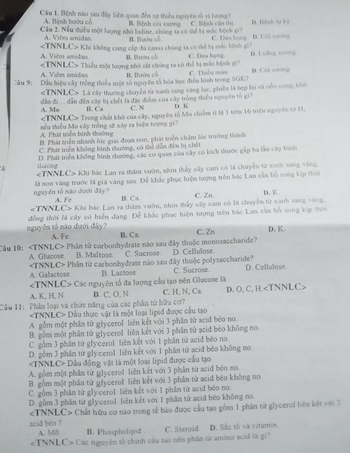 img-question-file