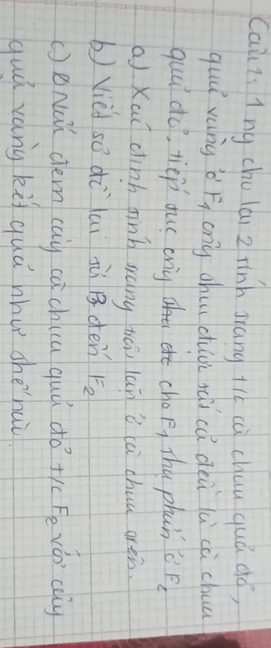 img-question-file