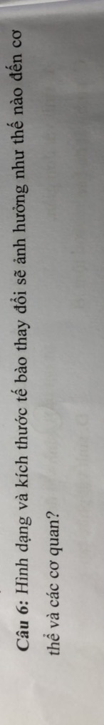 img-question-file