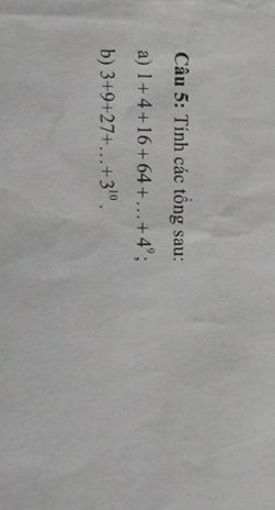 img-question-file