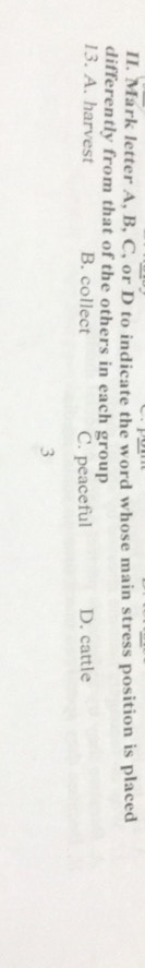 img-question-file