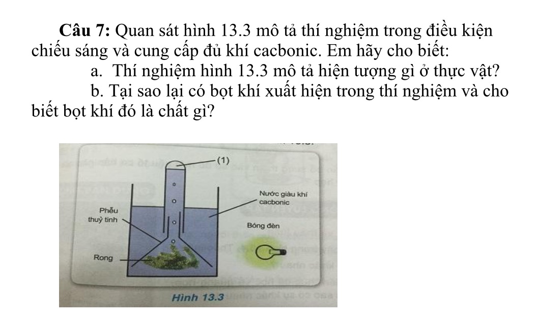img-question-file