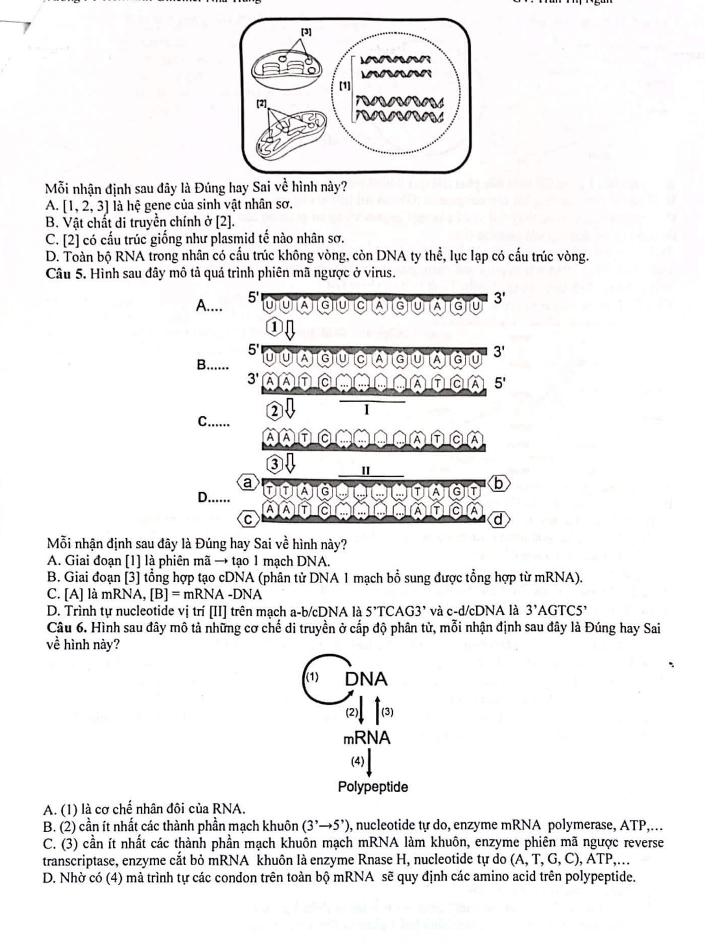 img-question-file