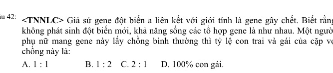 img-question-file