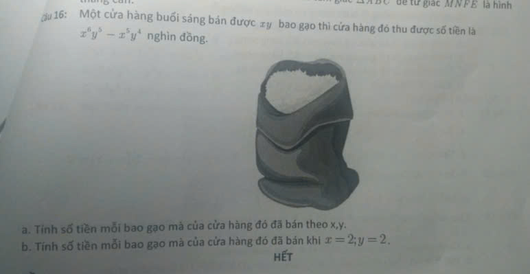 img-question-file