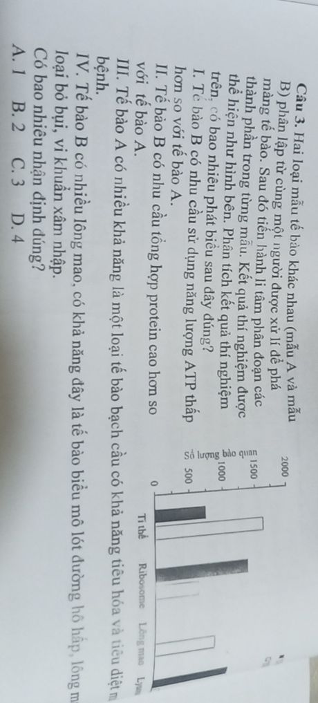 img-question-file