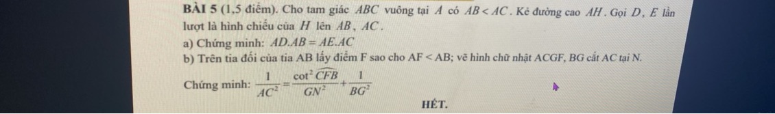 img-question-file