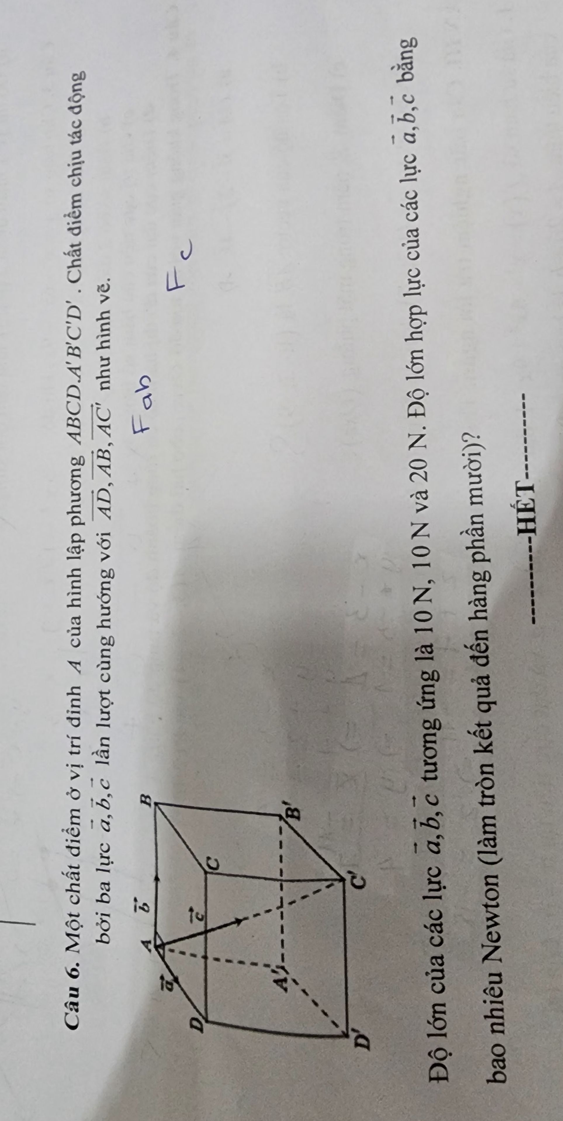 img-question-file