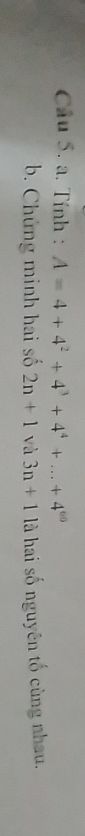 img-question-file