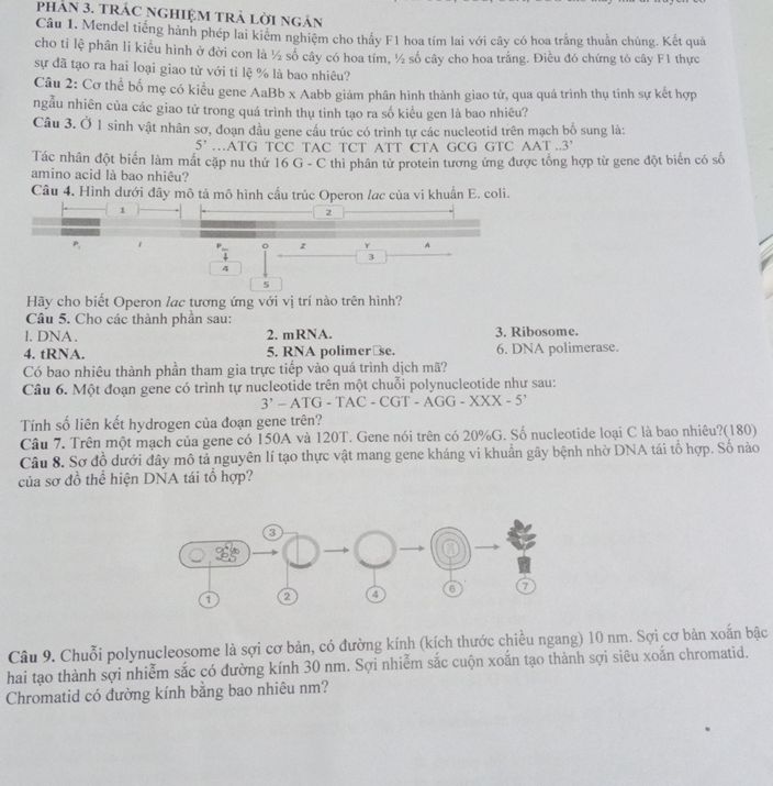 img-question-file
