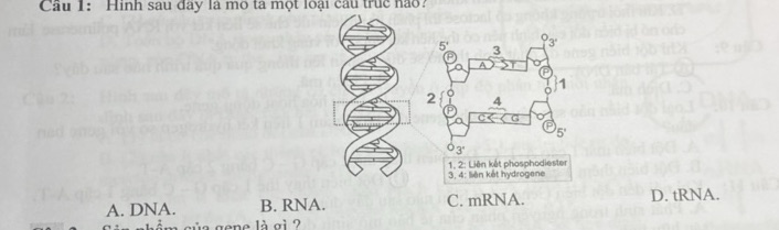 img-question-file