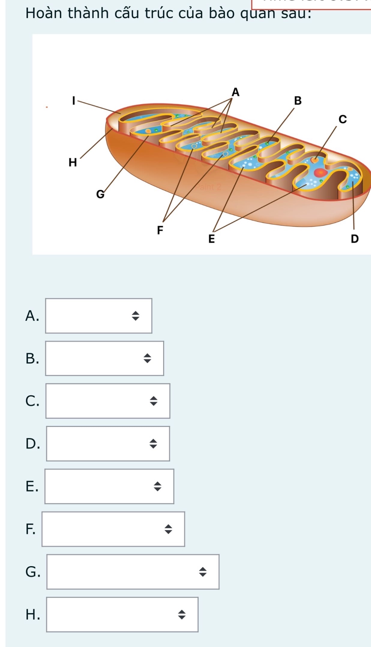 img-question-file
