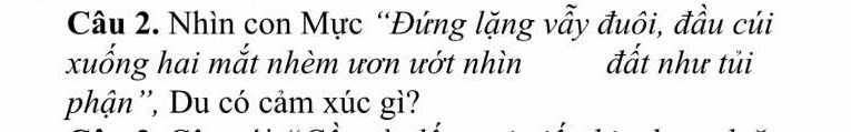 img-question-file