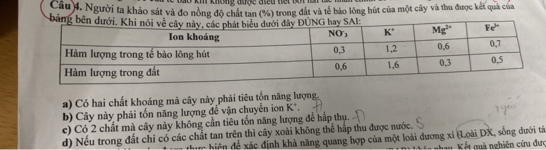 img-question-file