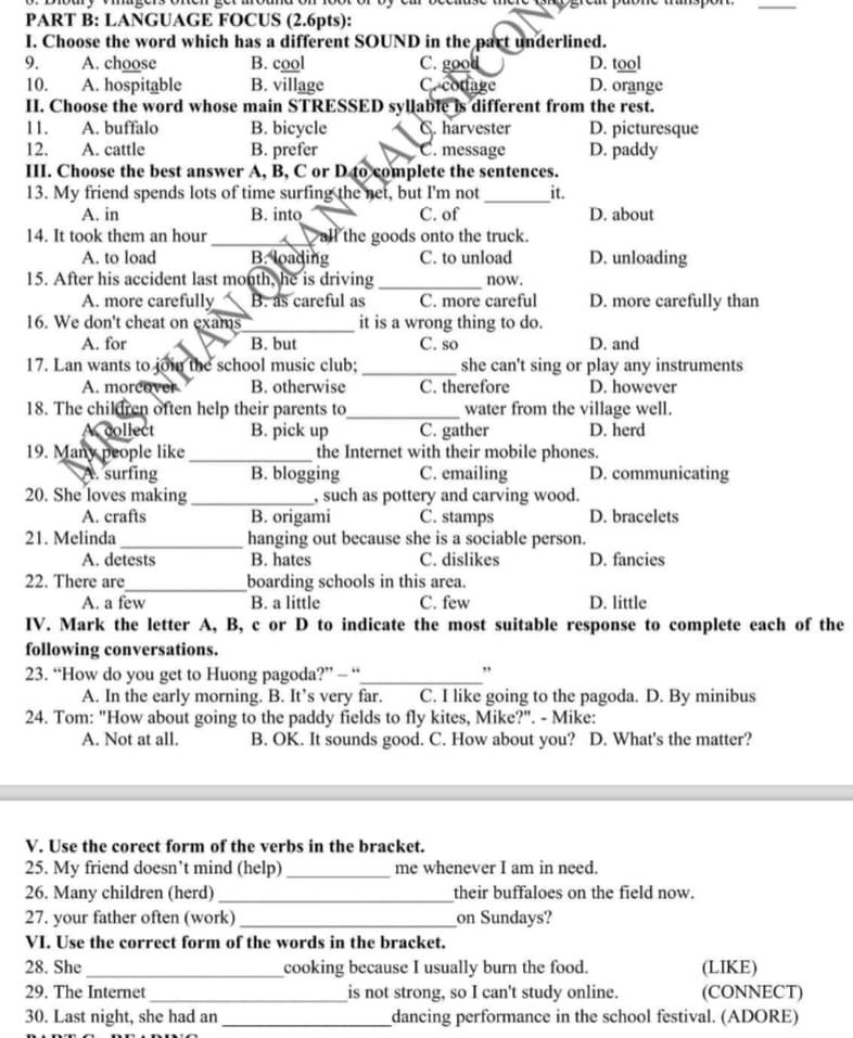 img-question-file