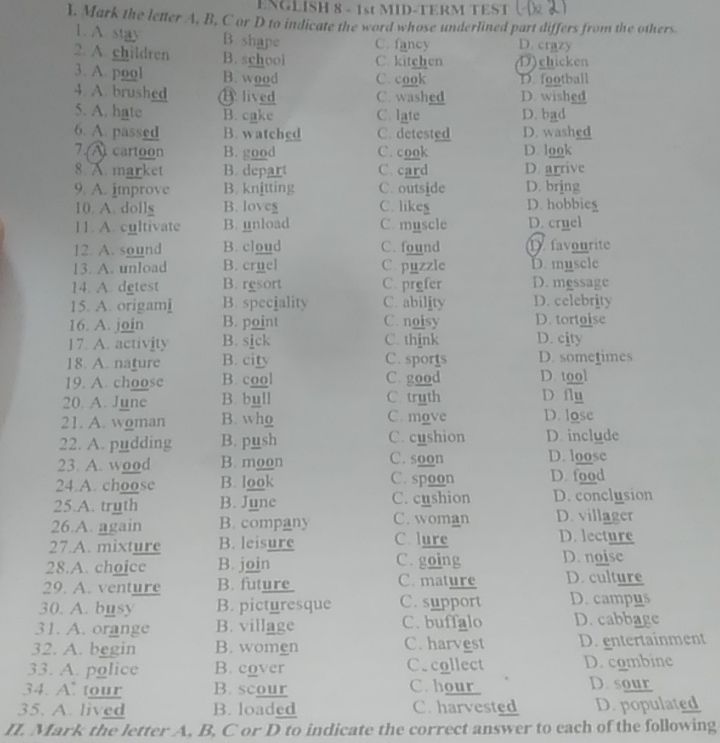 img-question-file