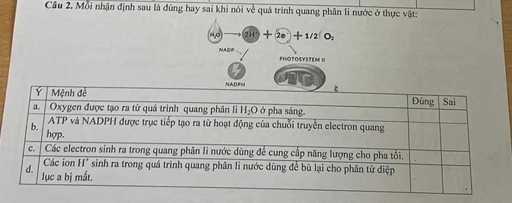 img-question-file