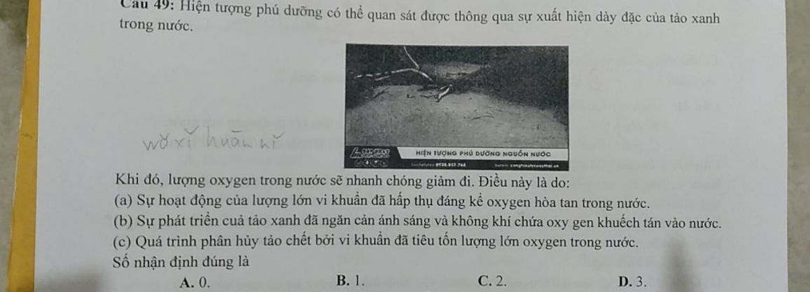img-question-file