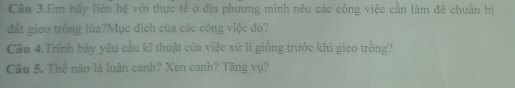 img-question-file