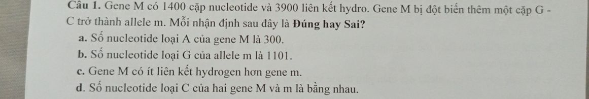 img-question-file