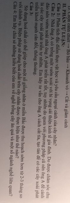 img-question-file