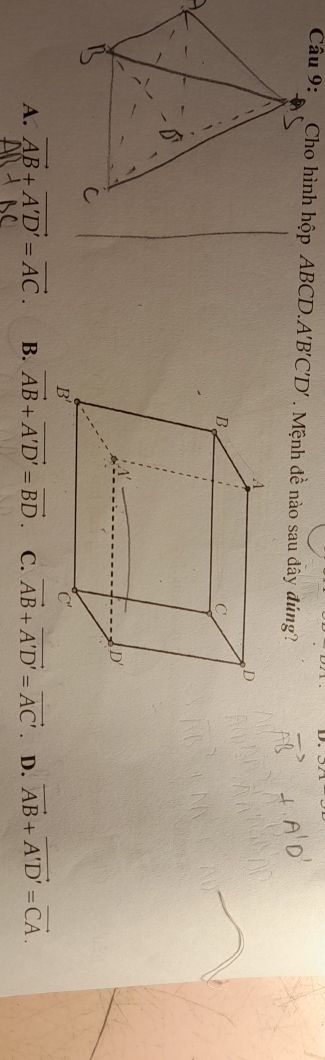 img-question-file