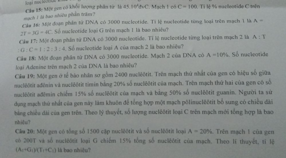 img-question-file