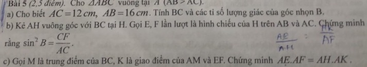 img-question-file