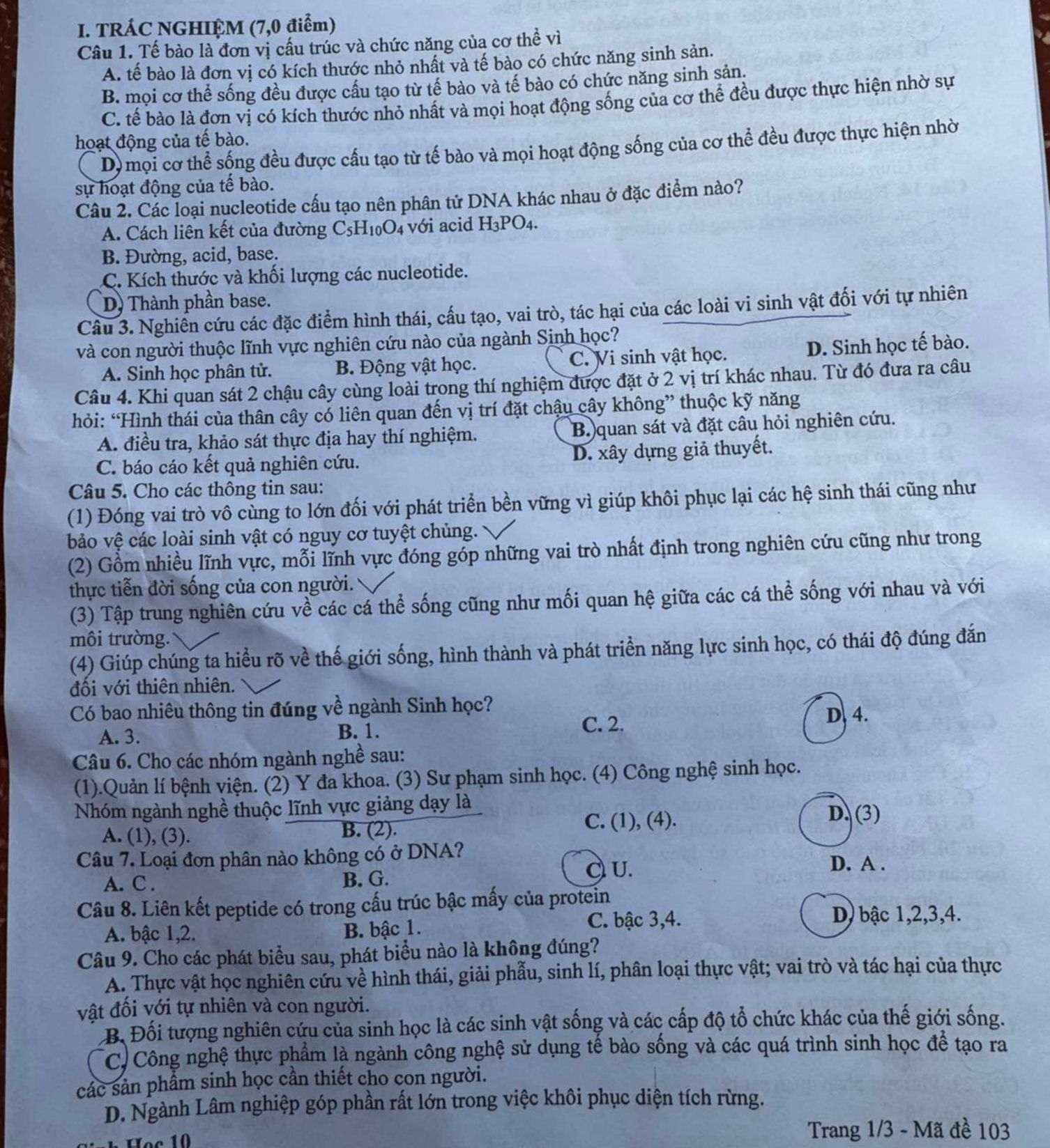 img-question-file