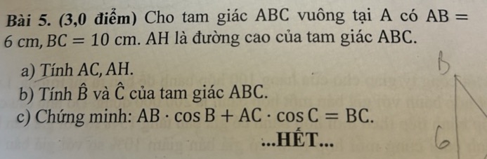 img-question-file