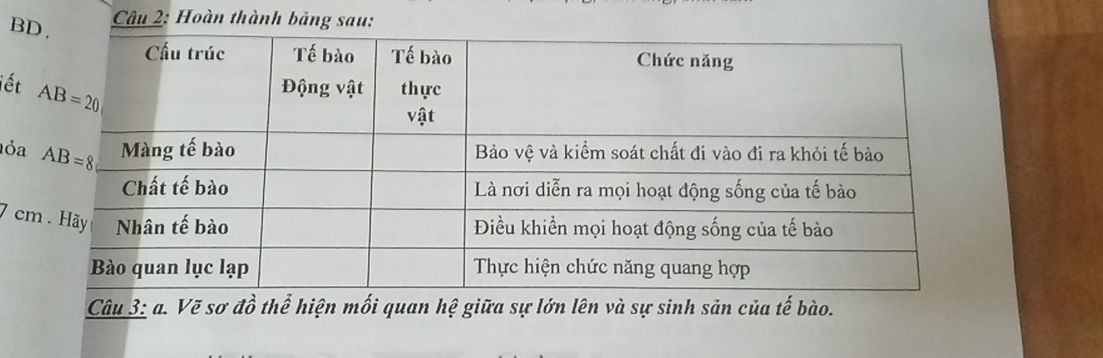 img-question-file