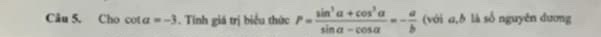 img-question-file