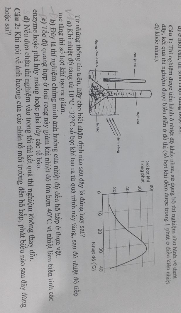 img-question-file
