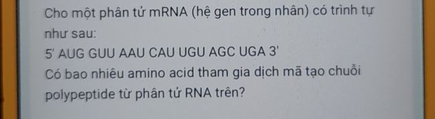 img-question-file