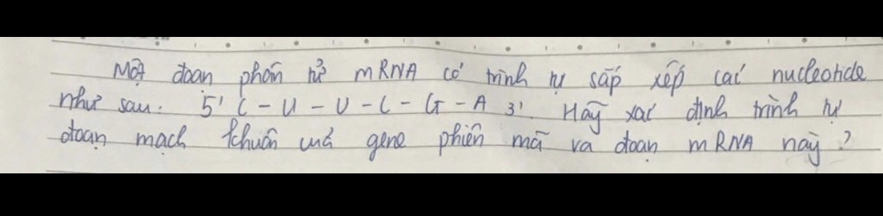 img-question-file