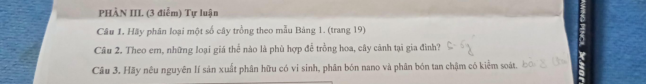 img-question-file
