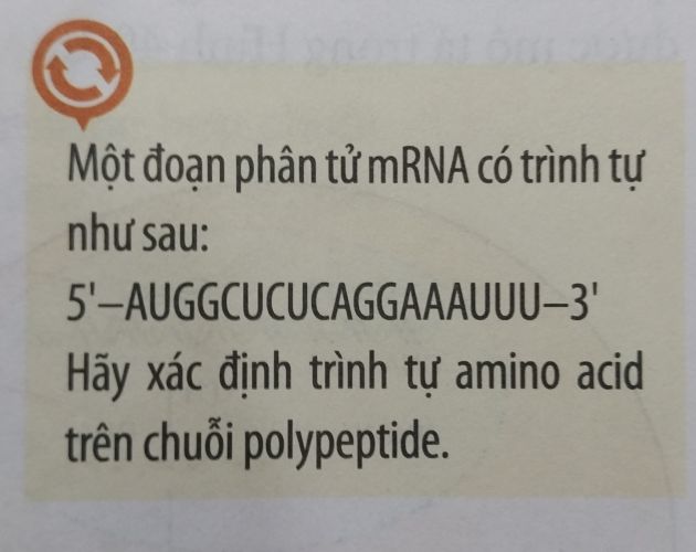 img-question-file