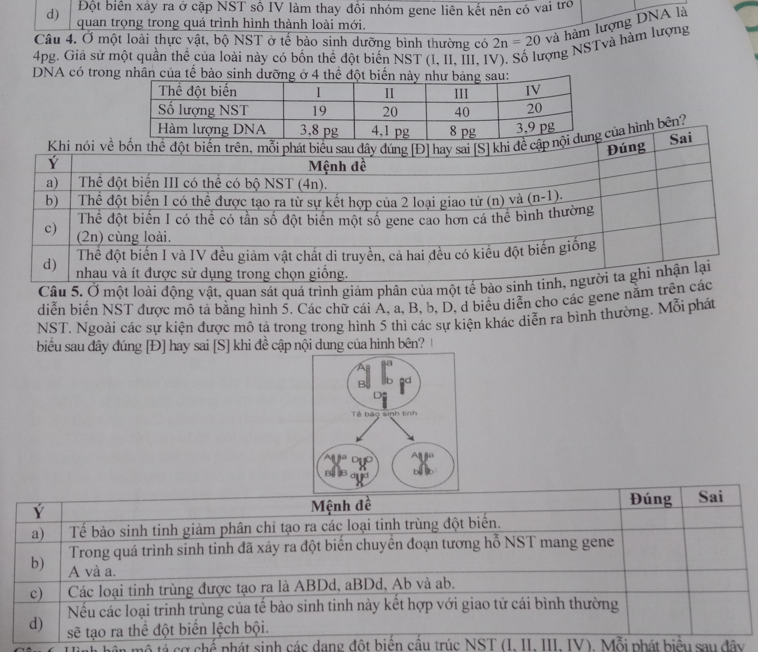img-question-file