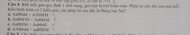 img-question-file