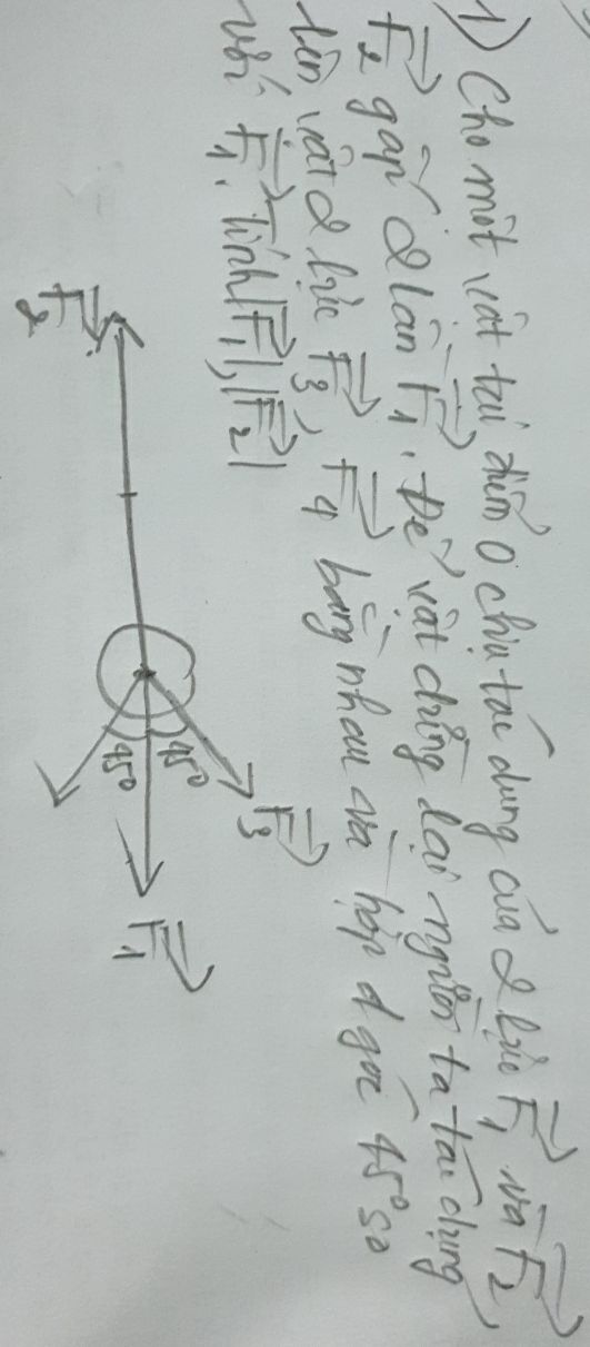 img-question-file