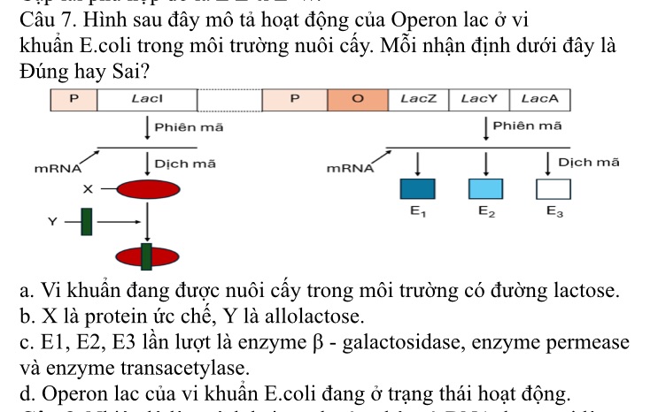 img-question-file