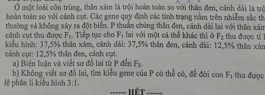 img-question-file